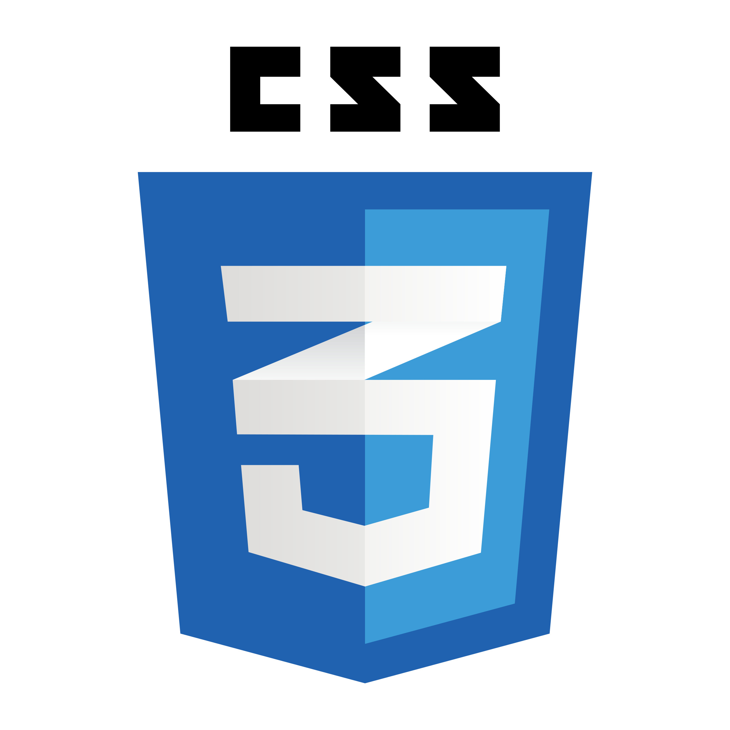 CSS Logo